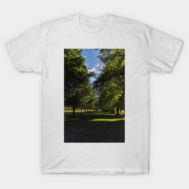 Avenue of trees T-Shirt by avrilharris